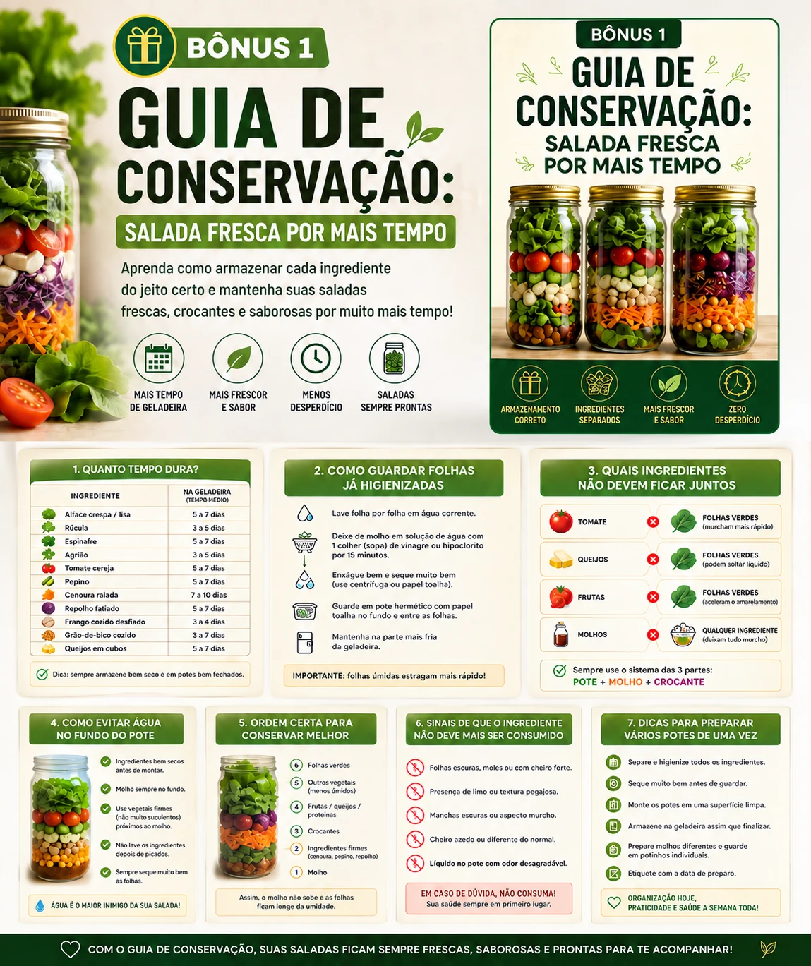 Bônus 1, Guia de Conservação, salada fresca por mais tempo